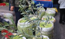 Kahvaltı sofralarının vazgeçilmezi yeşil zeytinde fiyatlar bir önceki günü aratıyor