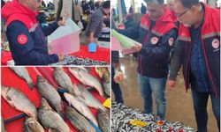 Konya da su ürünleri denetimleri, av yasağının kalkmasıyla başladı