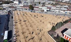 Konya'da 10 Bin 400 metrekarelik alana fidan dikildi