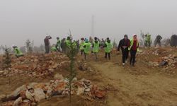 Malatya Beydağı'nda ağaçlandırma seferberliği