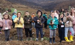 Milli Ağaçlandırma Günü'nde Bursa'da yangından etkilenen bölgelerde fidan dikimi gerçekleştirildi