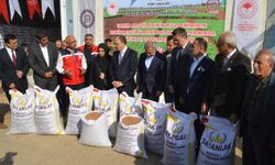 Siirt’te çiftçilere 203 ton sertifikalı kırmızı mercimek tohumu dağıtıldı