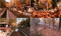 Sonbaharın gelişiyle Konya’da doğal güzellikler ortaya çıktı