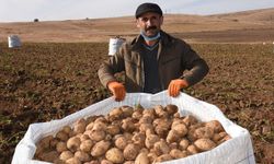 Ticaret Bakanlığından patates fiyatlarına ilişkin açıklama