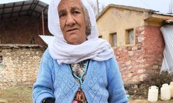 Tilkiyi eliyle yakalayan 80 yaşındaki kadın vefat etti