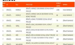 TOKİ konutları Bingöl’ün hangi ilçesinde kaç tane yapılacağı açıklandı