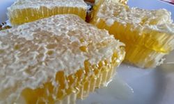 Yenice ıhlamur balı AB'den coğrafi işaret tescili aldı