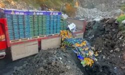 Zirai ilaç kalıntısı tespit edilen 6 bin 100 kilogram mandalina imha edildi