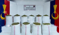 29 ilde uyuşturucu operasyonları: 345 gözaltı