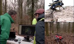6G destekli robot köpekler orman yangınlarını yapay zeka ile önceden tespit edecek