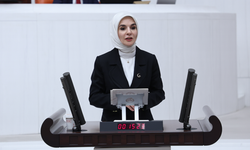 Aile ve Sosyal Hizmetler Bakanı Göktaş, TBMM Genel Kurulunda bakanlığının 2026 yılı bütçesini sundu