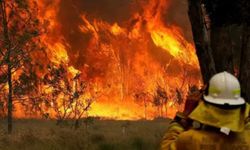 Avustralya orman yangınlarıyla mücadele ediyor