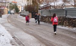 Bingöl Karlıova’da kar yağışı