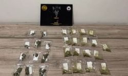 Bingöl’de uyuşturucu operasyonu: 1 şüpheli tutuklandı