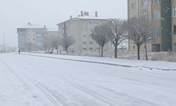 Bitlis’te 35 köy yolu ulaşıma kapandı