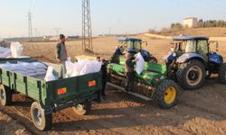 Buğday ekimine başlayan çiftçi kuraklık endişesi yaşıyor