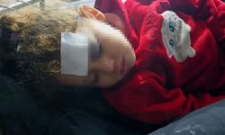 Deyr el Belah ve Cibaliya'da siyonist saldırı: İki şehit, çok sayıda yaralı