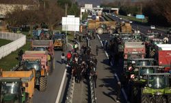 Fransa'da hayvanların itlafı çiftçi protestolarına yol açtı