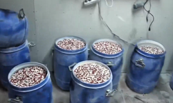 İstanbul ve İzmir'de uyuşturucu operasyonu: Milyonlarca hap ele geçirildi