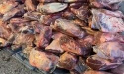 Kırşehir’de 6,1 ton kaçak ve bozulmuş et ele geçirildi: 3 gözaltı