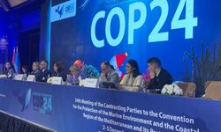 Mısır'da yapılan COP24'te Kahire Deklarasyonu kabul edildi