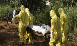 Nijerya’da Lassa ateşi hastalığında can kayıpları artıyor