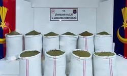 Şanlıurfa dahil 29 ilde uyuşturucuya büyük darbe: Yüzlerce şüpheli yakalandı