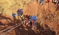 Şanlıurfa’da tahliye kanalına düşen büyükbaş hayvan kurtarıldı