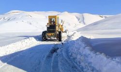 Van’da 102 yerleşim biriminin yolu ulaşıma kapandı