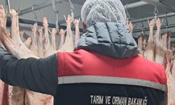 Yem ve gıda işletmelerine yönelik denetimler sürüyor