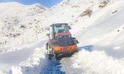 Batman’da kapalı mezra yolları ulaşıma açıldı