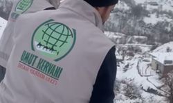 Batman'da Umut Kervanı kış şartlarında yaban hayvanlarını unutmadı