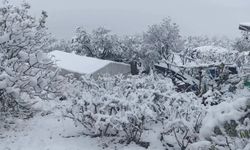 Batman'ın Kozluk ve Sason ilçelerinde eğitime kar tatili