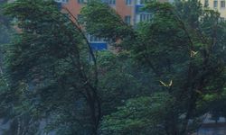 Konya için kuvvetli rüzgar ve fırtına uyarısı