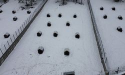 Malatya'nın ikinci hayvan barınağı hizmete başladı