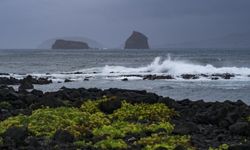 Portekiz'de kasırgan nedeniyle yüzbinlerce ev halen elektriksiz