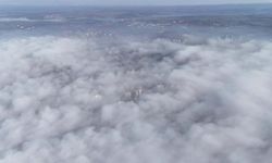 Şanlıurfa genelinde sabah saatlerinde sis etkili oldu