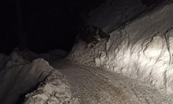 Siirt'te köy yoluna düşen çığ temizlendi