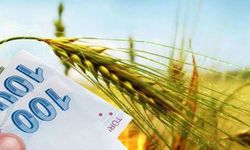 Tarımsal destek ödemeleri bugün çiftçilerin hesaplarına yatırılacak
