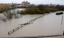 Aşırı hava koşulları Avrupa ülkelerinde can kayıplarına ve ağır hasara yol açtı