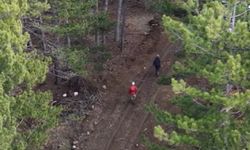 Karabük’te yasa dışı avcılığa idari yaptırım