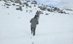 Muş’ta kaçak avcılığa para cezası