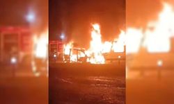 Şanlıurfa’da iki araç çarpıştı: 2 kişi yaralandı