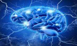 Singapur’dan beyin yaşlanmasına karşı yeni keşif