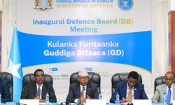 Somali, güvenlik geçişini güçlendirmek için bir savunma kurulu oluşturdu
