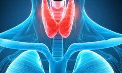 Uzm. Dr. Kaplan: Tiroid hastalıklarında erken tanı hayati önem taşıyor