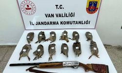 Van'da keklik avlayan kişiye 81 bin lira para cezası
