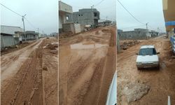 Viranşehir'de yol çilesi: "2026'dayız ama 90'lı yılları yaşıyoruz"  