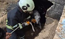 Mardin’de çöken ahıra düşen eşek itfaiye ekiplerince kurtarıldı