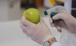 Meyvelerin raf ömrü doğal yağlarla uzatılıyor